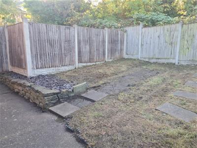 Picture 14